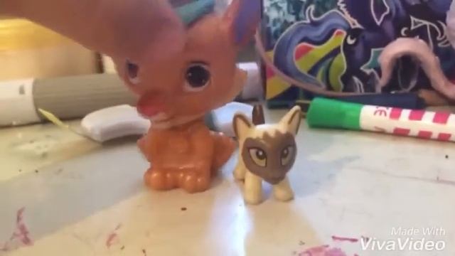 Мой кот любит хип хоп