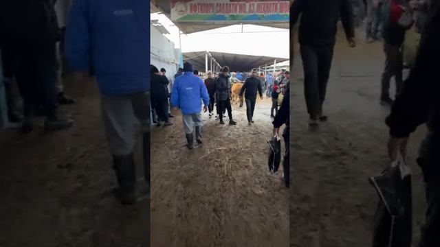 ЭФИР АЗ МОЛБОЗОРИ ш.ХУЧАНД