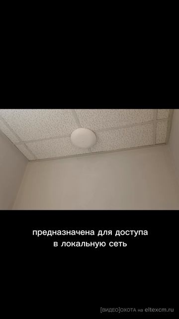 Точка доступа WEP-3ax Eltex. Видео[Охота] на eltexcm.ru