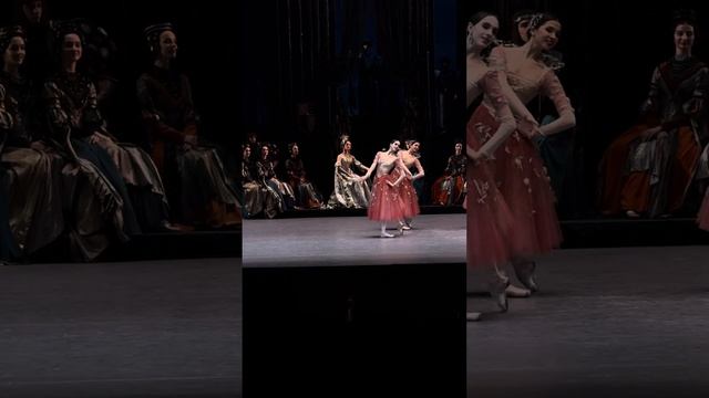 Полина Афанасьева, 24.11.24, Лебединое озеро, #bolshoiballet