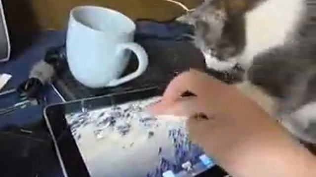 Истинное назначение iPad (хохма) смотреть онлайн