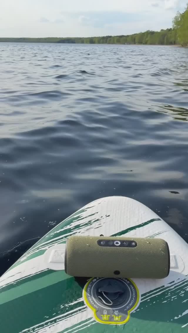 Яндекс Станция Стрит отдых на природе и катание на сапсёрфе с Алисой смотреть онлайн