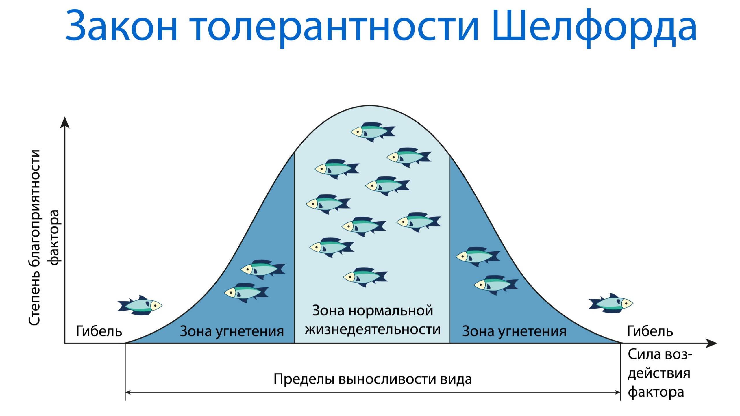 Закон толерантности Шелфорда смотреть онлайн