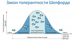 Закон толерантности Шелфорда