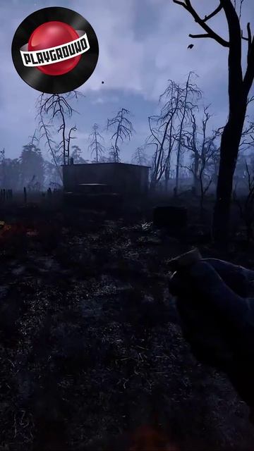 Появились первые подробности о сюжетном дополнении для S.T.A.L.K.E.R. 2 #stalker2 #dlc смотреть онлайн