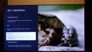 ТЕЛЕВИЗОР iFFALCON IFF75U74 ОБЗОРИЩЕ