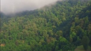 Азербайджанские песни 2025 года