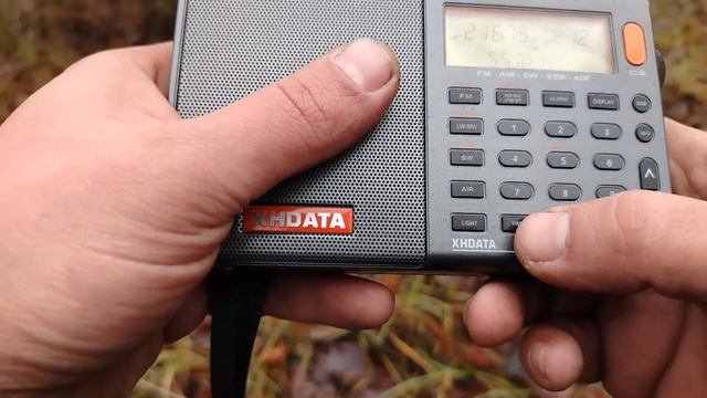 TECSUN PL-330 Vs. XHDATA D-808. Приём в лесу