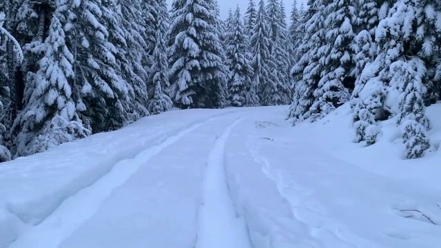 Rivian R1S в снежные горы - конкурент Ленд Ровера!