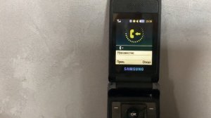 Samsung SGH-S3600 Входящий вызов / Incoming call