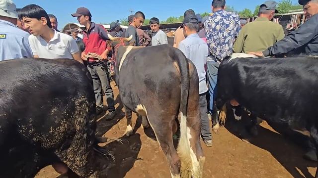 4 мая 2025 Г.МОЛБОЗОРИ Ш ХУЧАНД ХУДЖАНД ТОЖИКИСТОН Molbozor