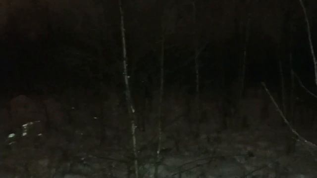 Я создал заповедник снюсоедов! (1 серия) смотреть онлайн