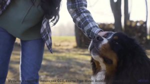 Музыка, которая звучит громче, когда вы делите одно окно в поезде - Sunday -- SUPERARE -- IX