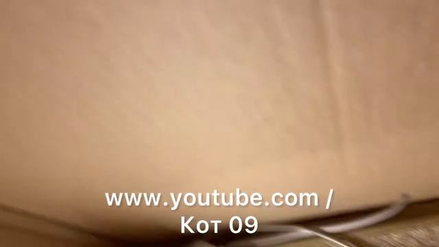 Домик из коробки своими руками✅ смотреть онлайн