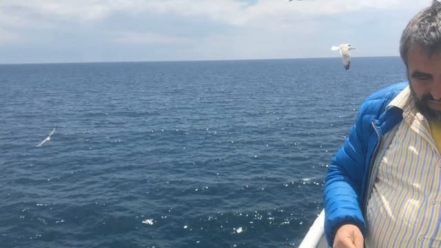 Света гора (Атон) /Гора Афон /Άγιον Όρος /Mount Athos - 03-08.05.2019