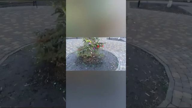 #энем #обзор #погода 🌡 +14 как #весной жарко 3 01 2023 😊👍 смотреть онлайн