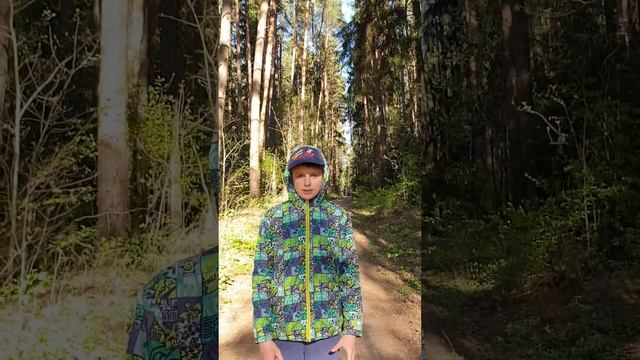 В поисках лесного озера смотреть онлайн