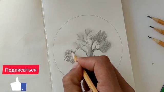 Рисуйте дерева с карандашом. УРОК 8 смотреть онлайн