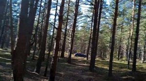 Hatsan Flash W 6.35 Альфа М-образные нарезы?