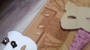 туториал на самодельную маску для КВД/маска из картона 💗🐾