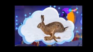 спокойной ночи малыши карусель 21 03 2025 21:00 - 21:20