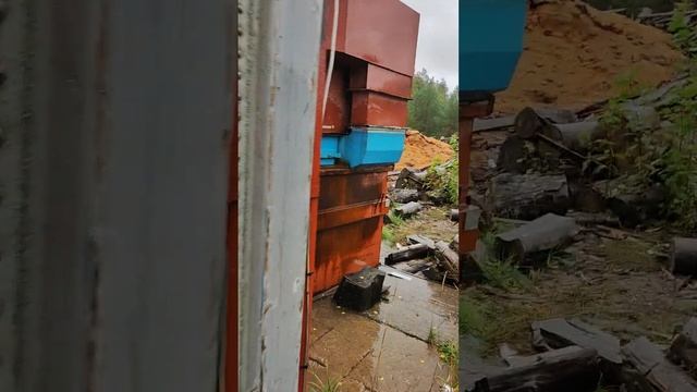 Сушильная камера 120 м3 смотреть онлайн