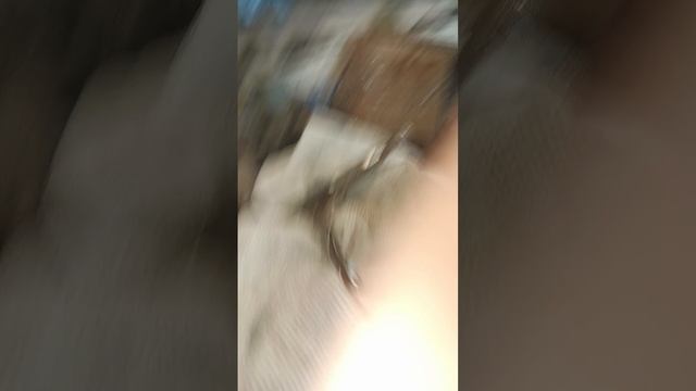 метки Лифан Смайли 16клапанов 1,3