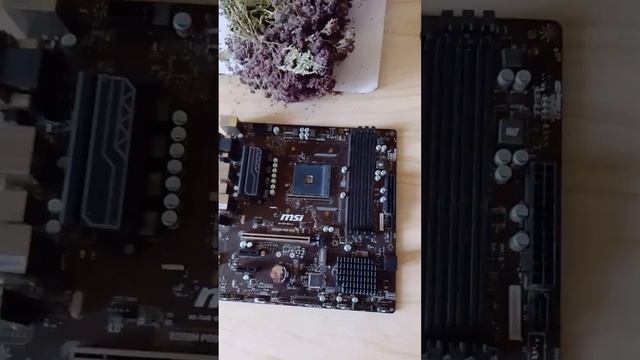 MSI B350M PRO-VDH: как котики двигают IT - индустрию ;)