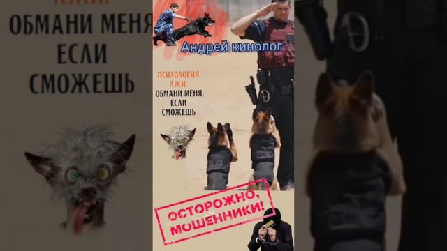 Нарезка мошни! смотреть онлайн