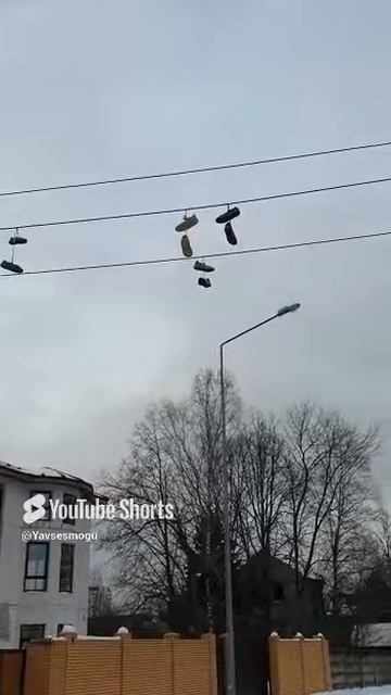 #Shorts#Юмористы#Поздравили смотреть онлайн