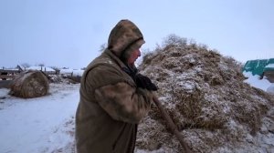 Что такое земельный пай. Как люди пропивали свою землю