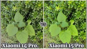 Сравнение Xiaomi 14 pro против Xiaomi 15 pro в съёмке и в скорости