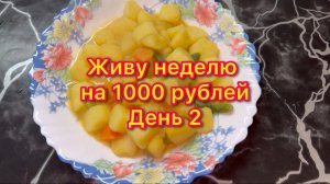 Живу неделю на 1000 рублей . День 2 #живунеделюна1000рублей #экономноеменю