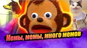 Лютые приколы и мемы. #мемы #мем #приколы #лютыеприколы