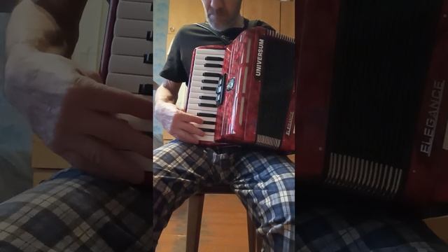 Аккордеон  Universum Elegance,немецкий, 1/2, 