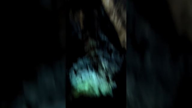 большая Азишская пещера.(осень 2024) смотреть онлайн