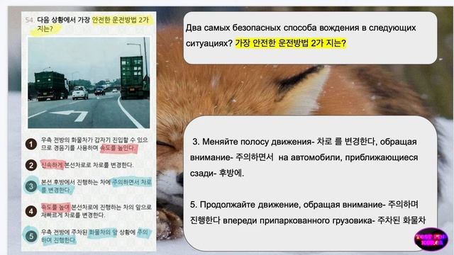 🚗 운전면허 PLUS Фото № 50 и 59 ПДД Корея. смотреть онлайн
