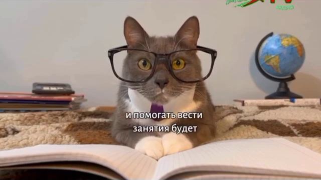 Промо нового эфирные вещание Вторник! Андрей (Европа П