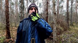 Tidradio TD-M11. Тест выходного дня.