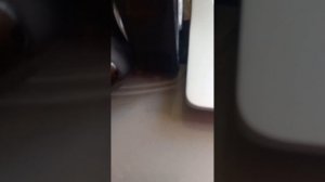 Как сделать чтобы мышка двигалась.