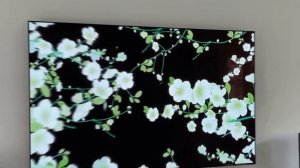 Телевизор TCL 55 Q6CS