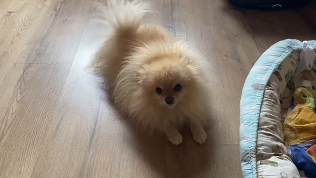 СНЕГОПАД В СЕНТЯБРЕ на Телецком озере