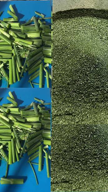 ПРИПРАВА ИЗ СТЕБЛЕЙ УКРОПА. Не выбрасывайте стебли укропа! смотреть онлайн