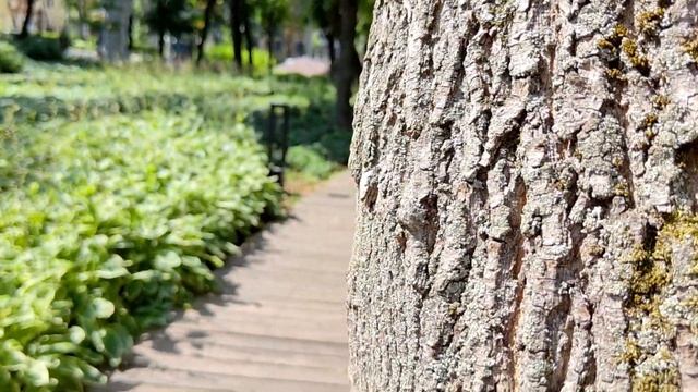 Xiaomi 12. Тест камер. 1920х1080 30/60 fps смотреть онлайн