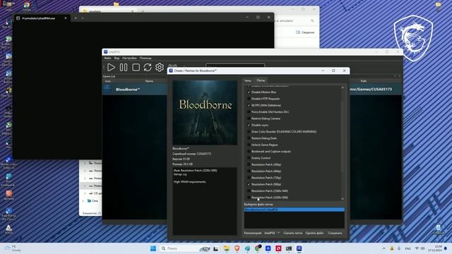 Настройки эмулятора РS4 shadPS4 для ПК на примере Bloodborne смотреть онлайн