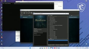 Настройки эмулятора РS4 shadPS4 для ПК на примере Bloodborne