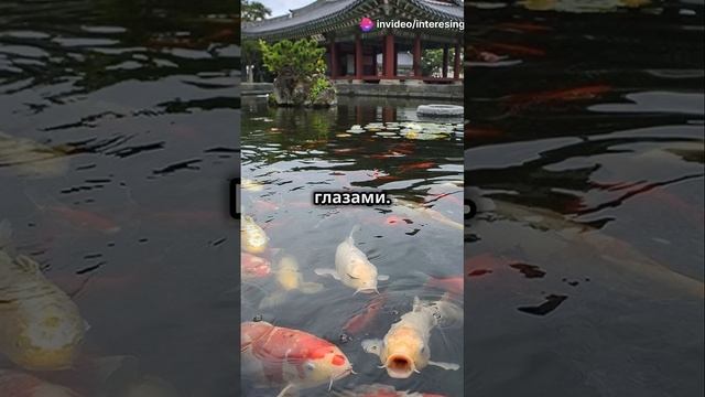 Топ 5 мест, которые вы обязаны посетить!! #travel #путишест? смотреть онлайн