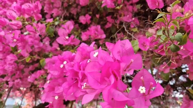 Забыв телефон, фельдшер скорой вернулась домой. Но усл смотреть онлайн