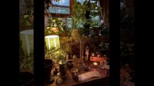 Комнаты в стиле Goblinсоre 🌾/ Goblinсоre/ Комната/Украшения для комнаты в стиле Goblinсоre🪴