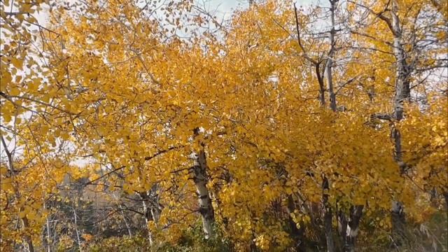 "Нехай возвеличиться Господь, якому любий спокій слуг? смотреть онлайн